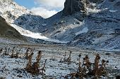111 - arriva l'inverno